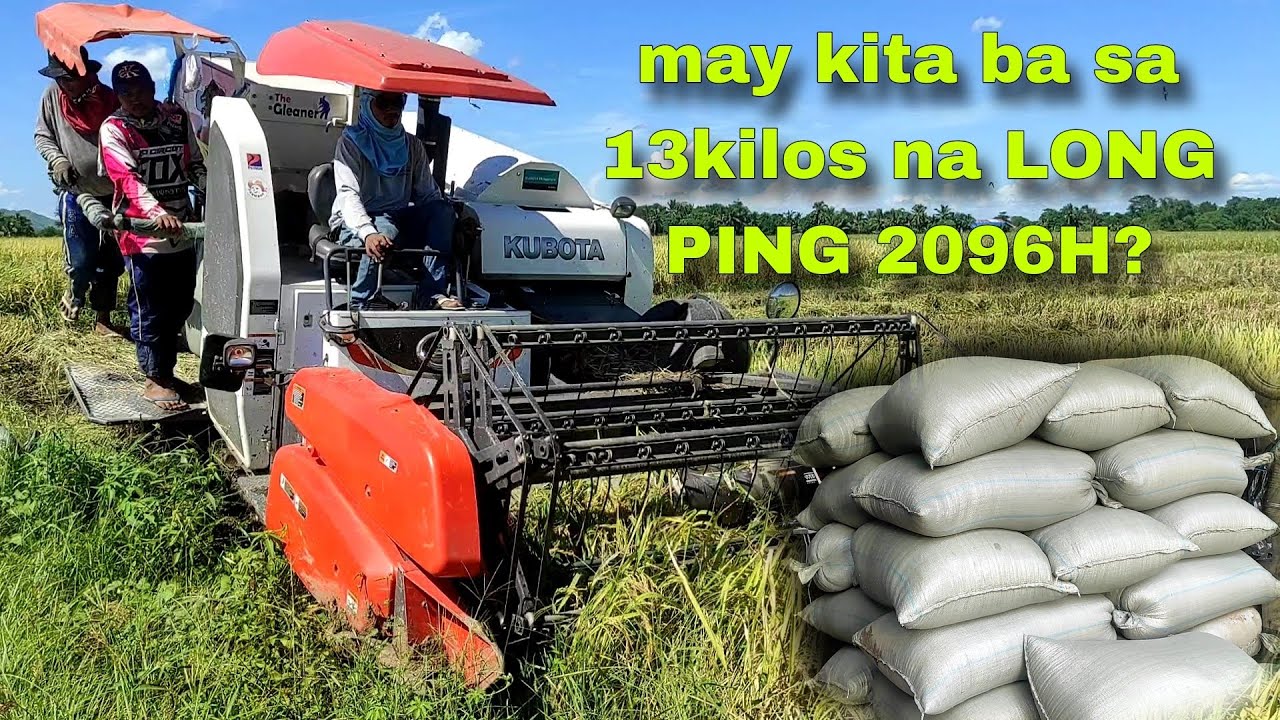 Ilan ang inani sa (4ksqm) na Long Ping? | jo wel