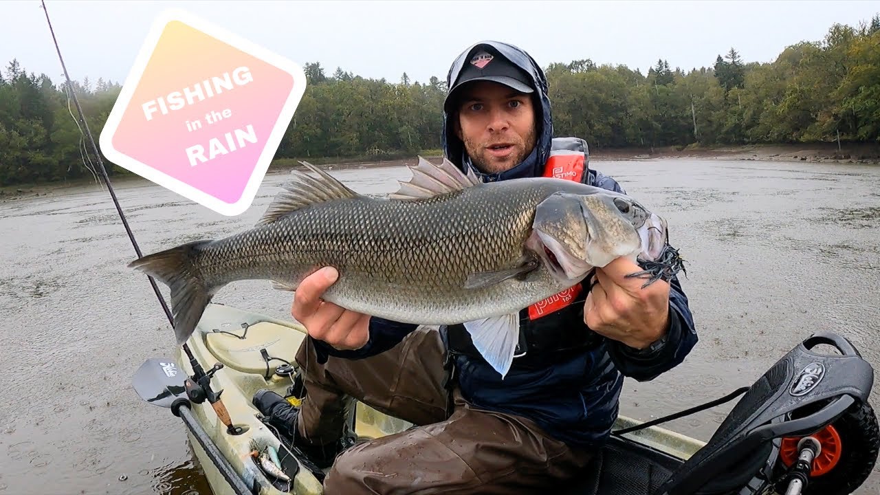 PÊCHE du BAR en KAYAK ! LUNKERS sur des NOUVEAUX SPOTS!!!