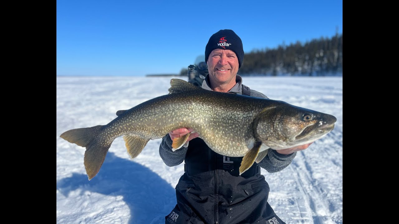 Giant Lake Trout of Cree Lake