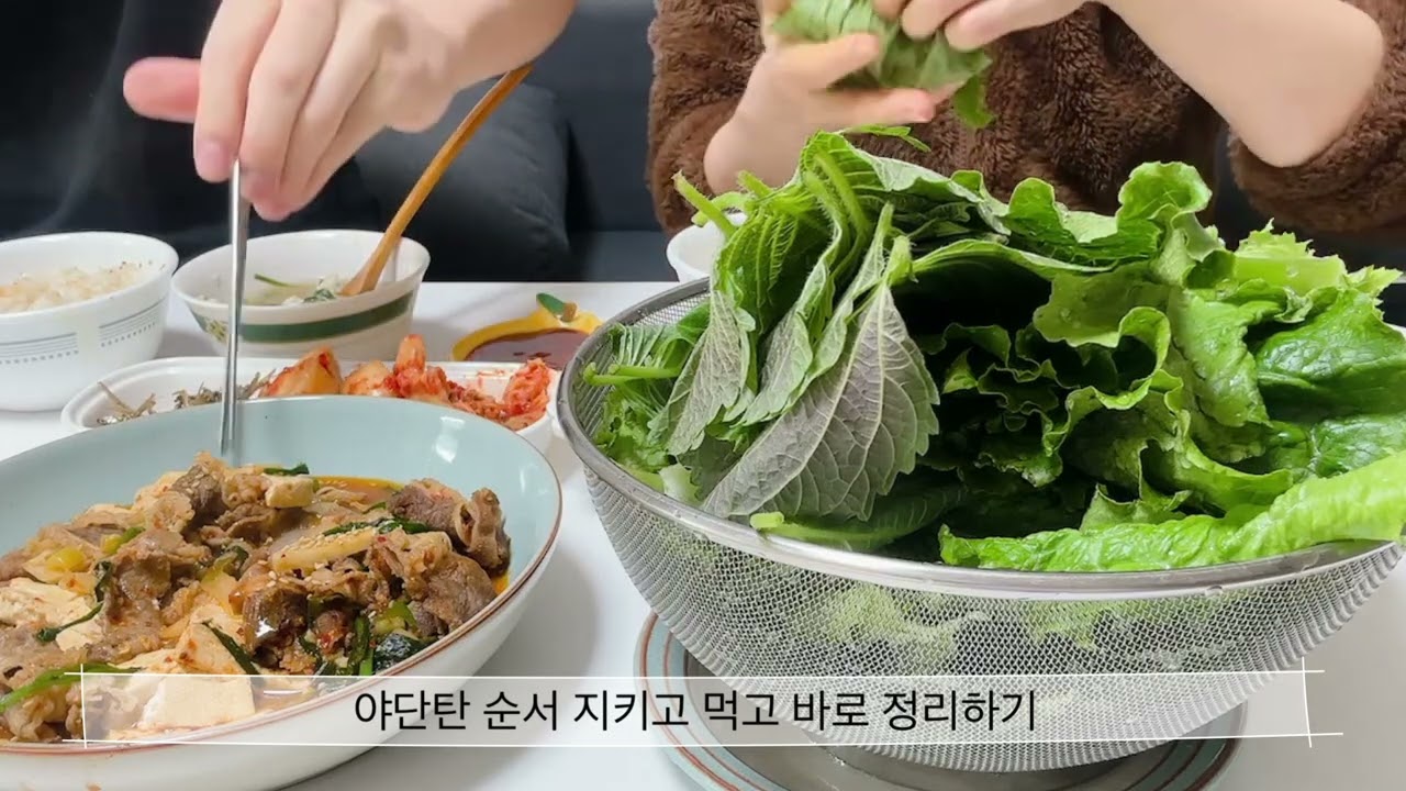 22. 직장인 공시생 / 한능검 공부/ PT 시작/ 다낭성난소 임신준비