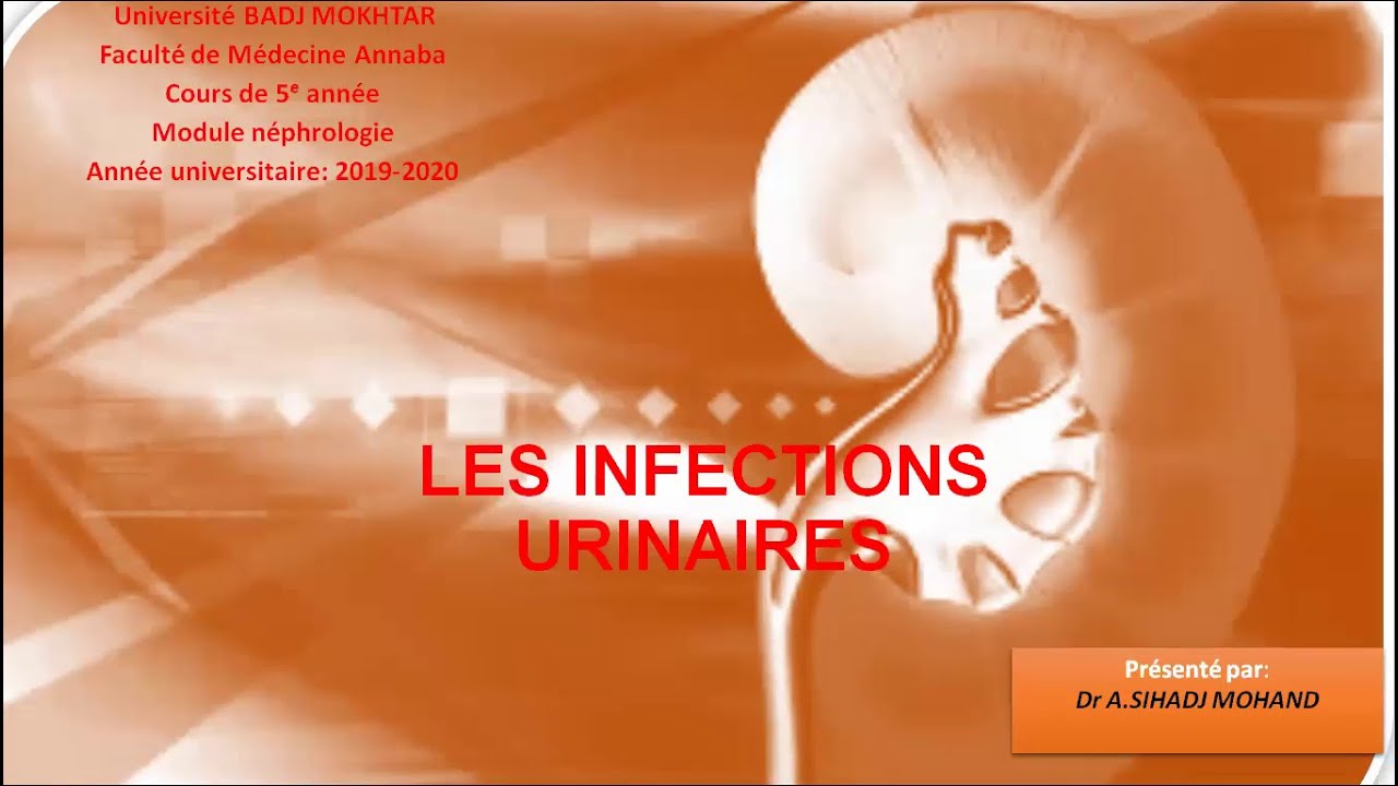 LES INFECTIONS URINAIRES