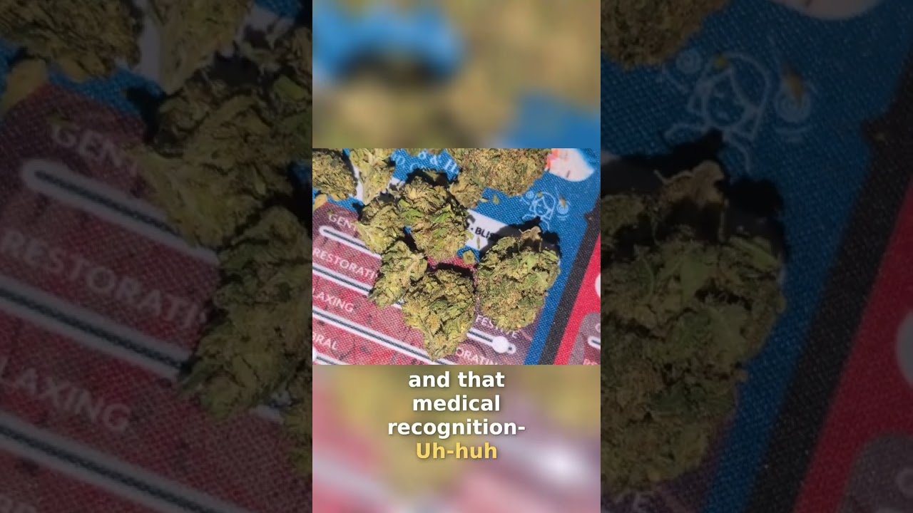 Jack Herer: Experience & Therapeutic Potential Revealed! #shorts