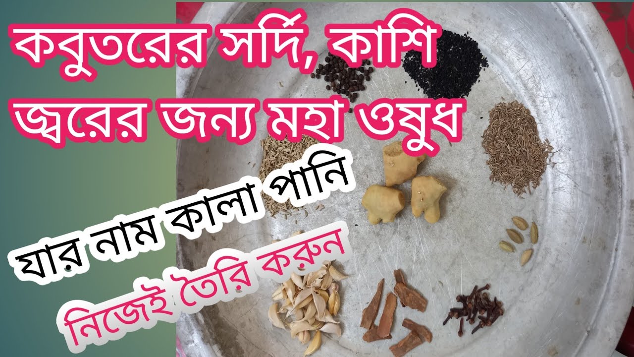 কবুতরের মহা ওষুধ কালা পানি নিজেই তৈরি করুন। Make your own black pani, the great medicine for pigeons