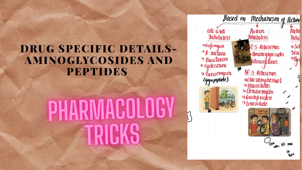 Aminoglycosides and peptides- drug specific details,antimicrobials pharmacology ,lecture-5