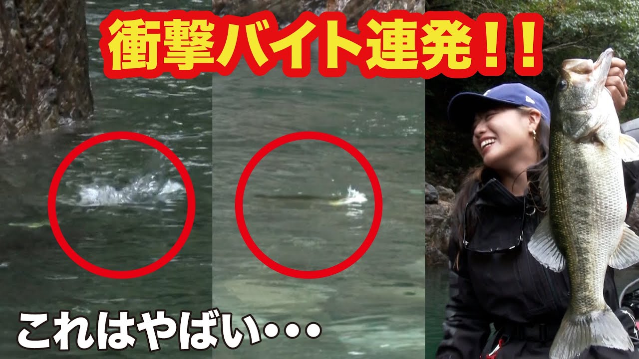 【衝撃映像】ジョイクロを襲う黒い影…本気の捕食がえぐすぎた【池原ダム】