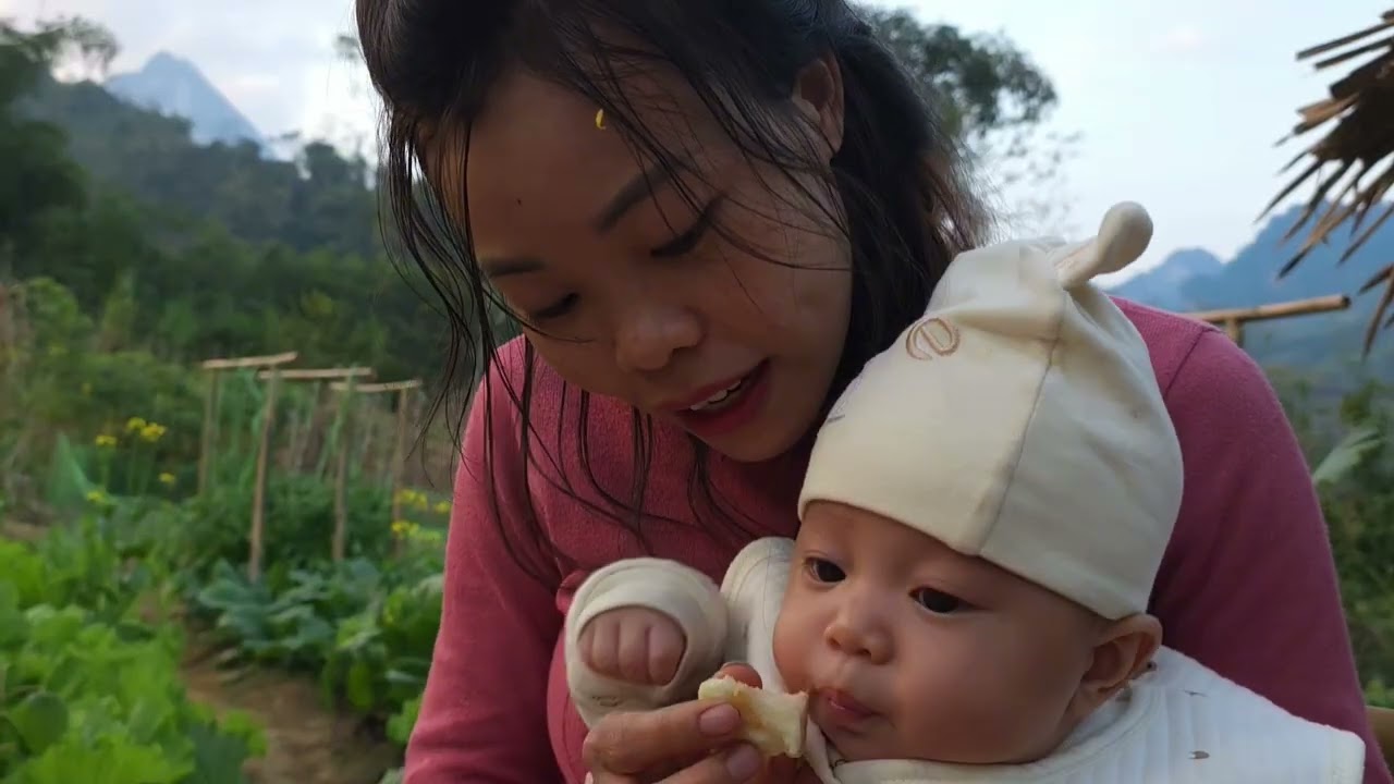 Full video -The day a single mother built a bamboo house alone to live in a new place with child