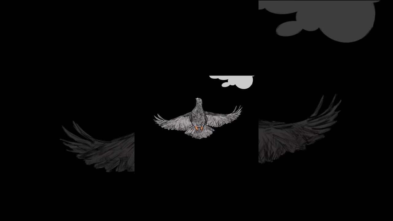 &ldquo;Pigeonometry&rdquo; animated short out now! #aesoprock #rhymesayers