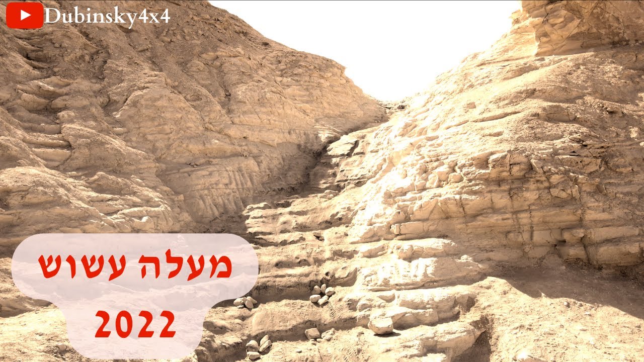 מעלה עשוש 2022