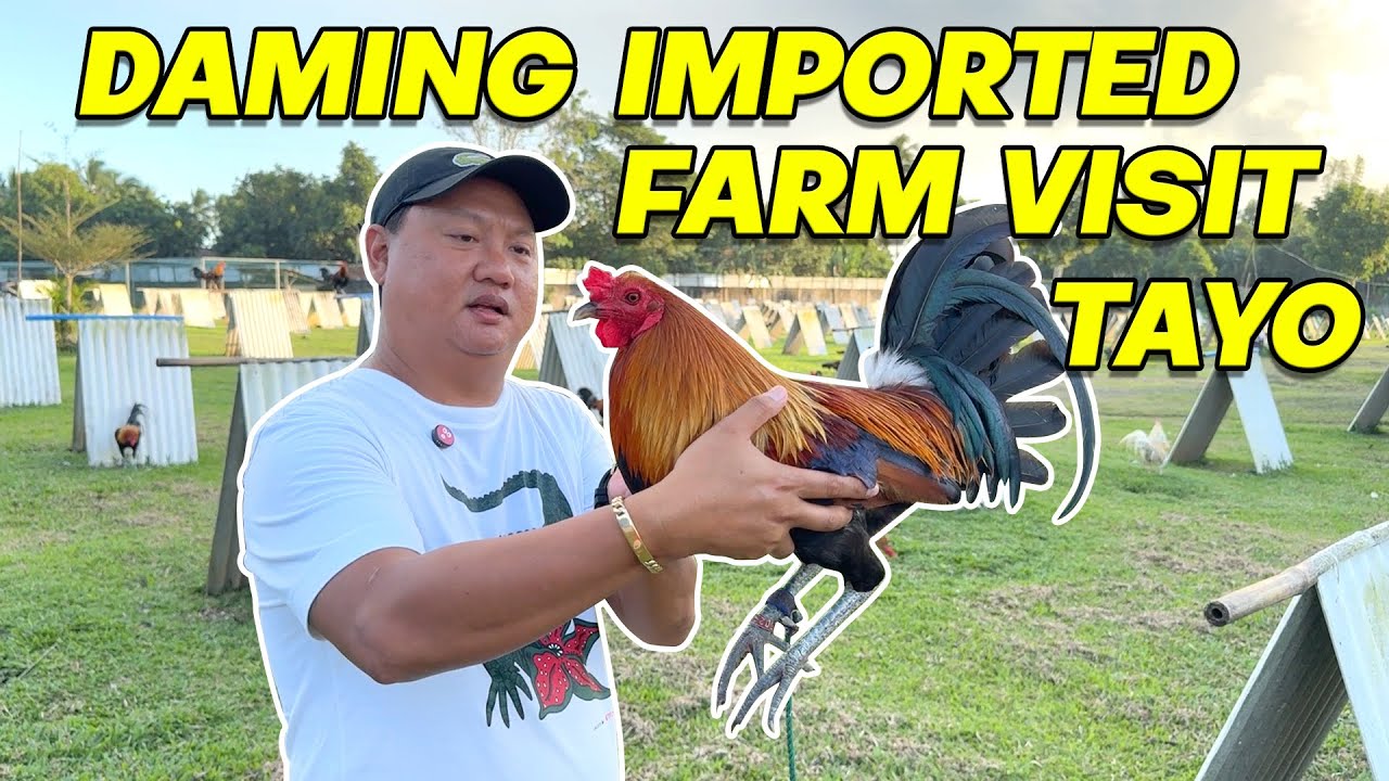 BLACKLAVA FARM VISIT