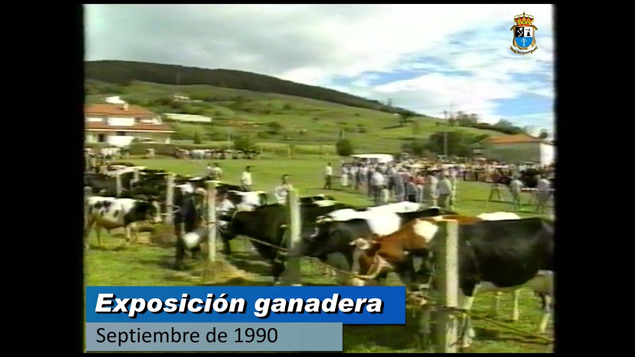 Exposición ganadera en Meruelo en septiembre de 1990