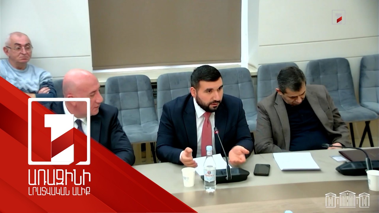 Վարժական հավաքի կանչելը հետապնդում չէ, ընդդիմադիրները ևս պարտավոր են ենթարկվել. Վահագն Ալեքսանյան