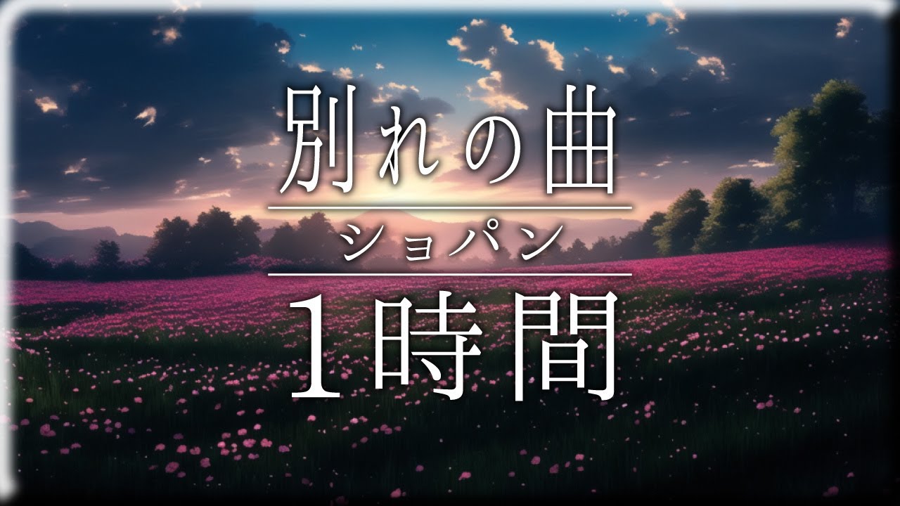 【作業用BGM】別れの曲/ショパン【1時間クラシック】