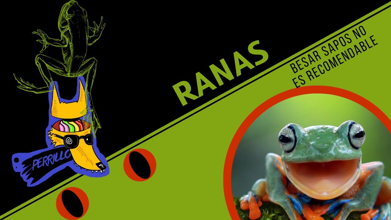 Ranas: Un viaje bien loco. | Ep 62 | CULTURA COLMILLUDA