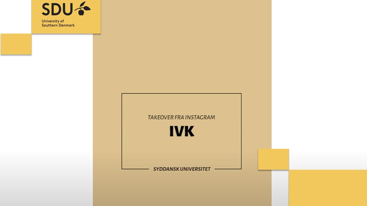 International virksomhedskommunikation