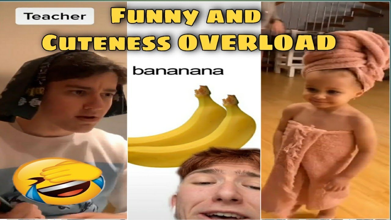 Best Funny TikTok Videos | Wasn't Expecting It | 