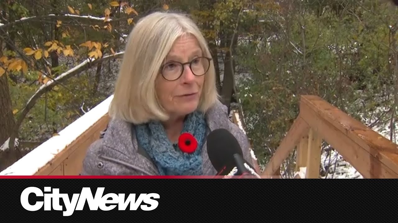 Residents say beloved ravine threatened by proposed condo development