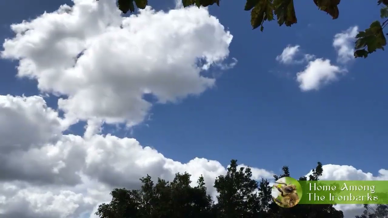 Slow Sunday Cloud Time-lapse — 8 March 2026