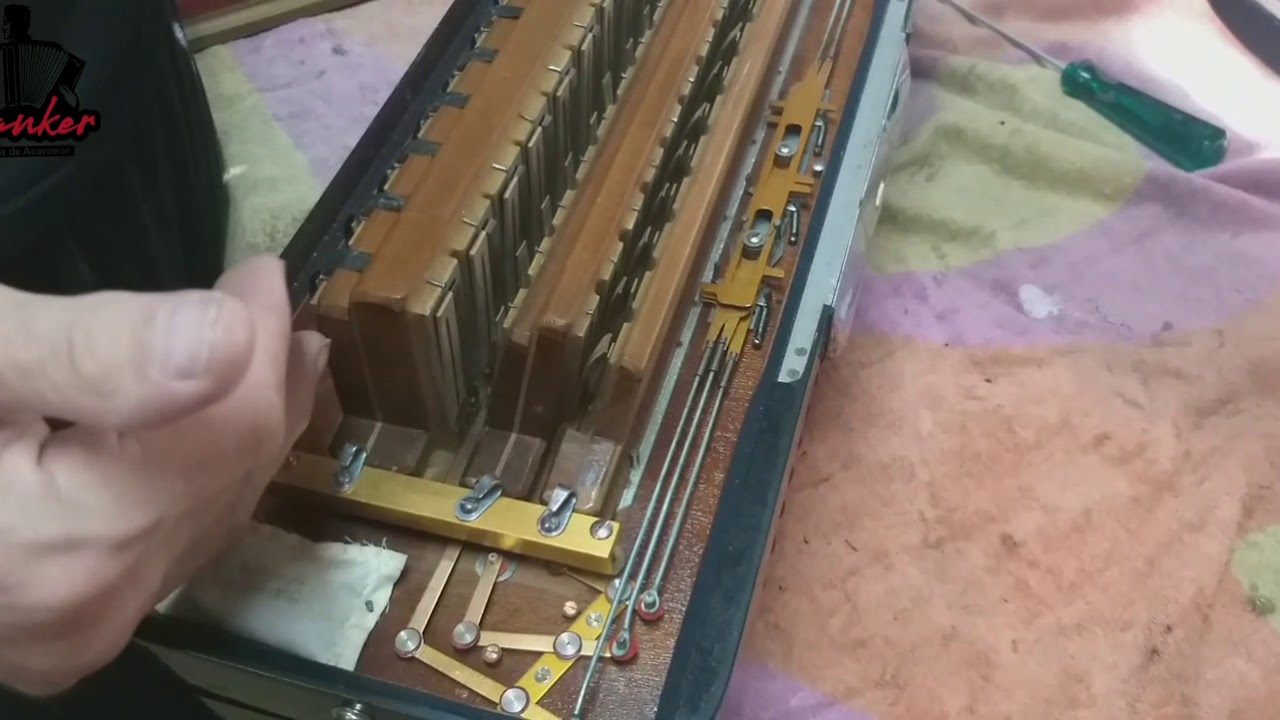 Acordeon Excelsior 120 baixos em 4 de voz será que uma boa compra?