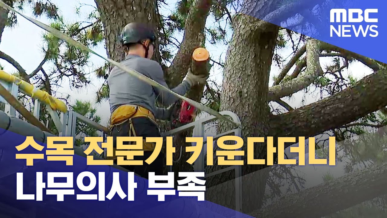 수목 전문가 키운다더니..나무의사 부족 (2023.10.09/뉴스데스크/목포MBC)