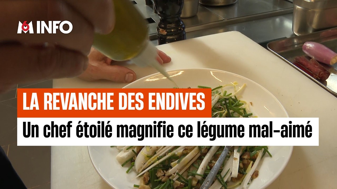 Les endives sous toutes les coutures en cuisine