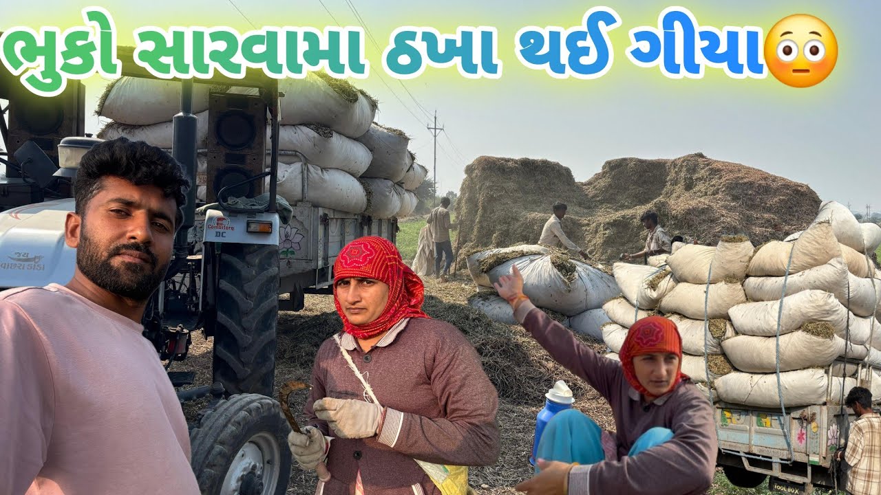 ભૂકા ના કારણે ડખા થીયા 😳👿||#villagerlifestyle #farming #viralvideos #khetibadi 