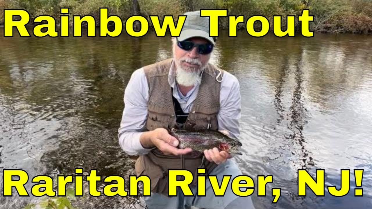 Rainbow Trout Raritan River South Branch #trout #troutfishing #raritan #fish #fishing #flyfishing