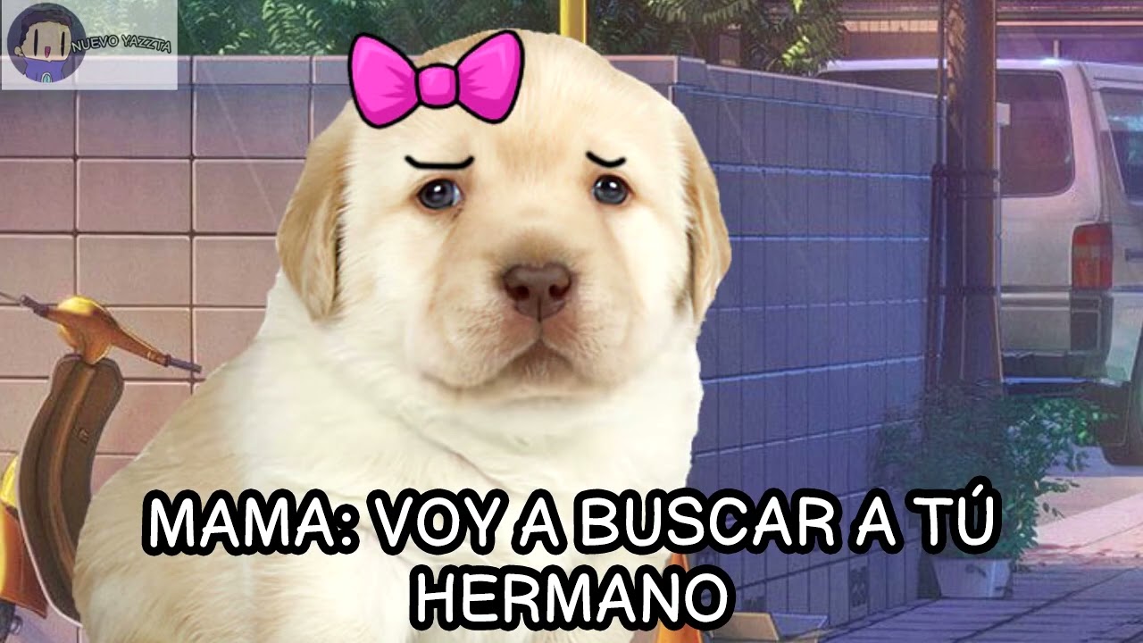 EL PERRO 3