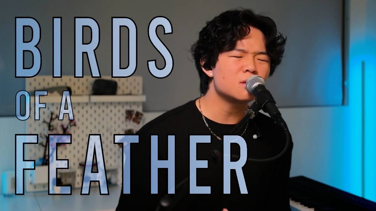 BIRDS OF A FEATHER - Billie Eilish (Live Loop Cover)
