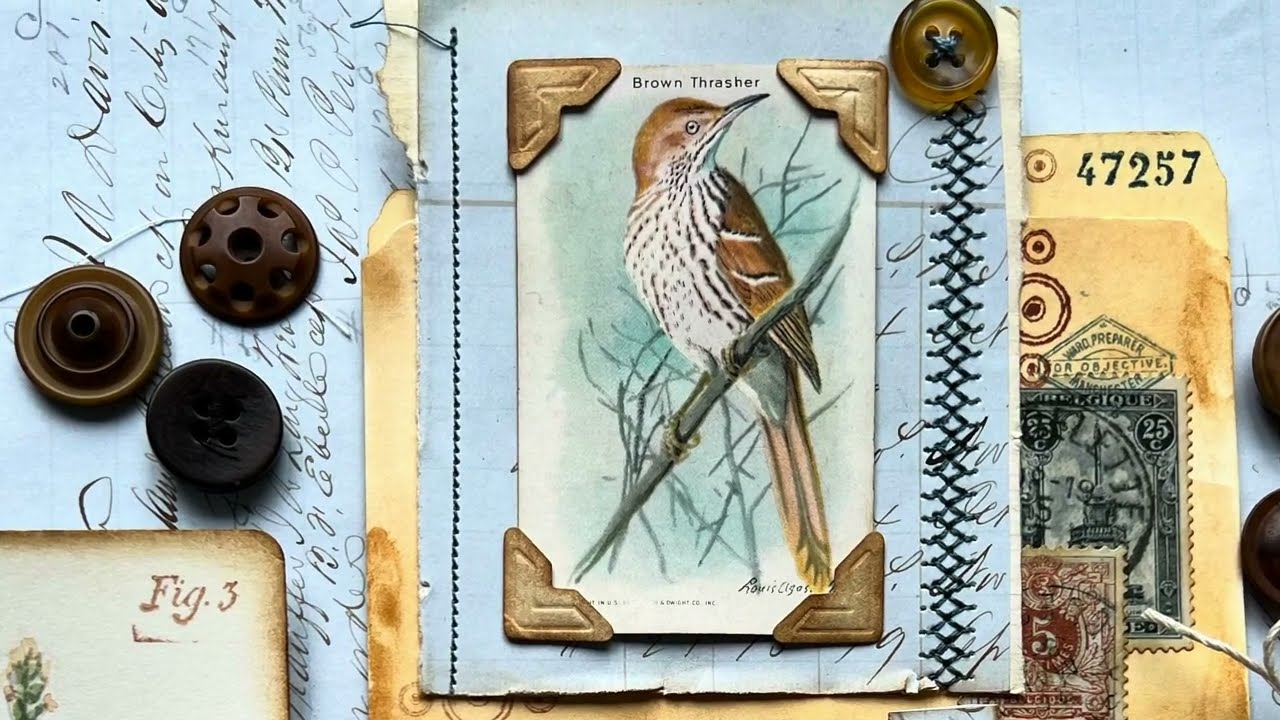 Видео 3 Создание страницы Brown Thrasher