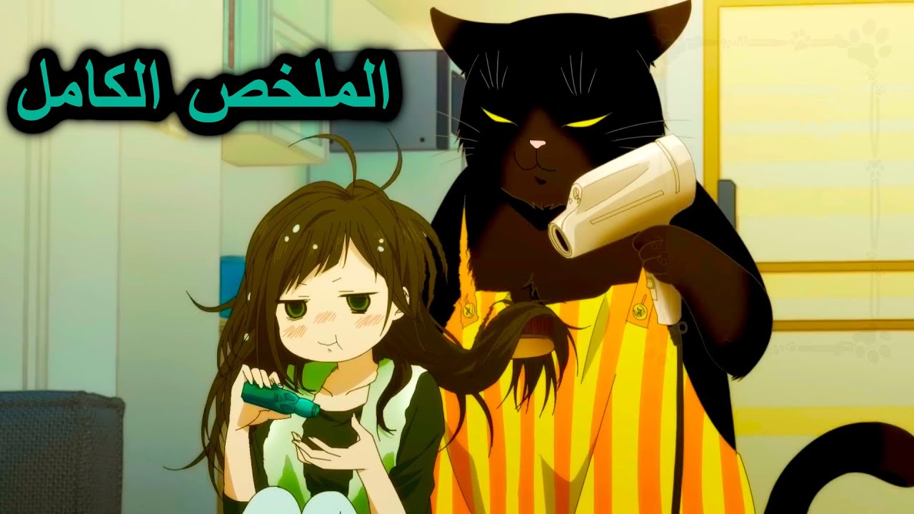 قط عملاق بيهتم ببنت وحيدة منبوذة و بيغير حياتها كليا | الملخص الكامل
