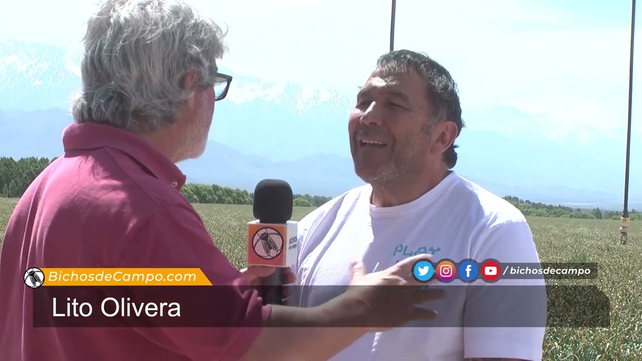 Lito Olivera, productor de ajo y papa en Paso de las Carretas, Mendoza.