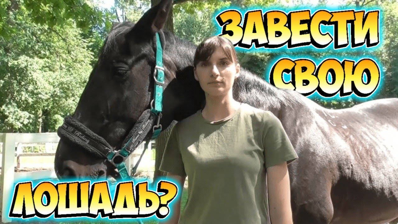 Стоит ли заводить свою лошадь?