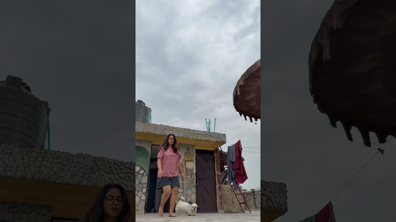 Living alone in Delhi Mini vlog| Day 73/100 #delhi #minivlog #dailylife