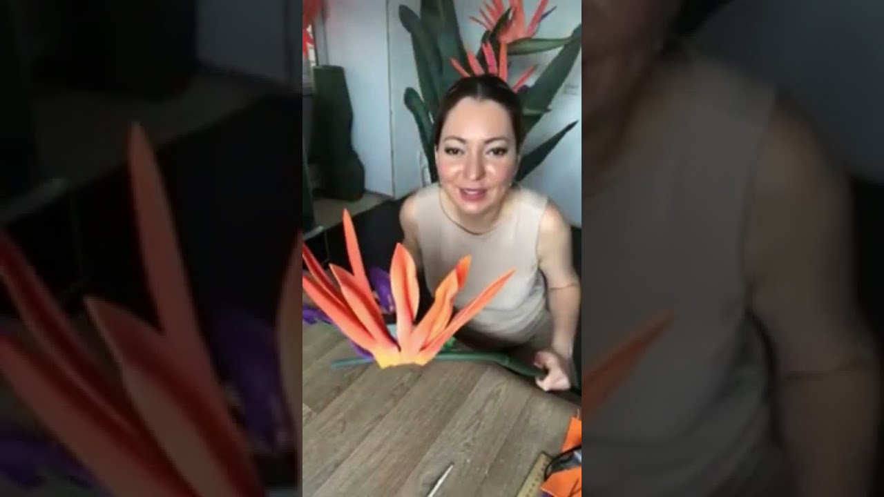 МК Стрелиция Часть 2