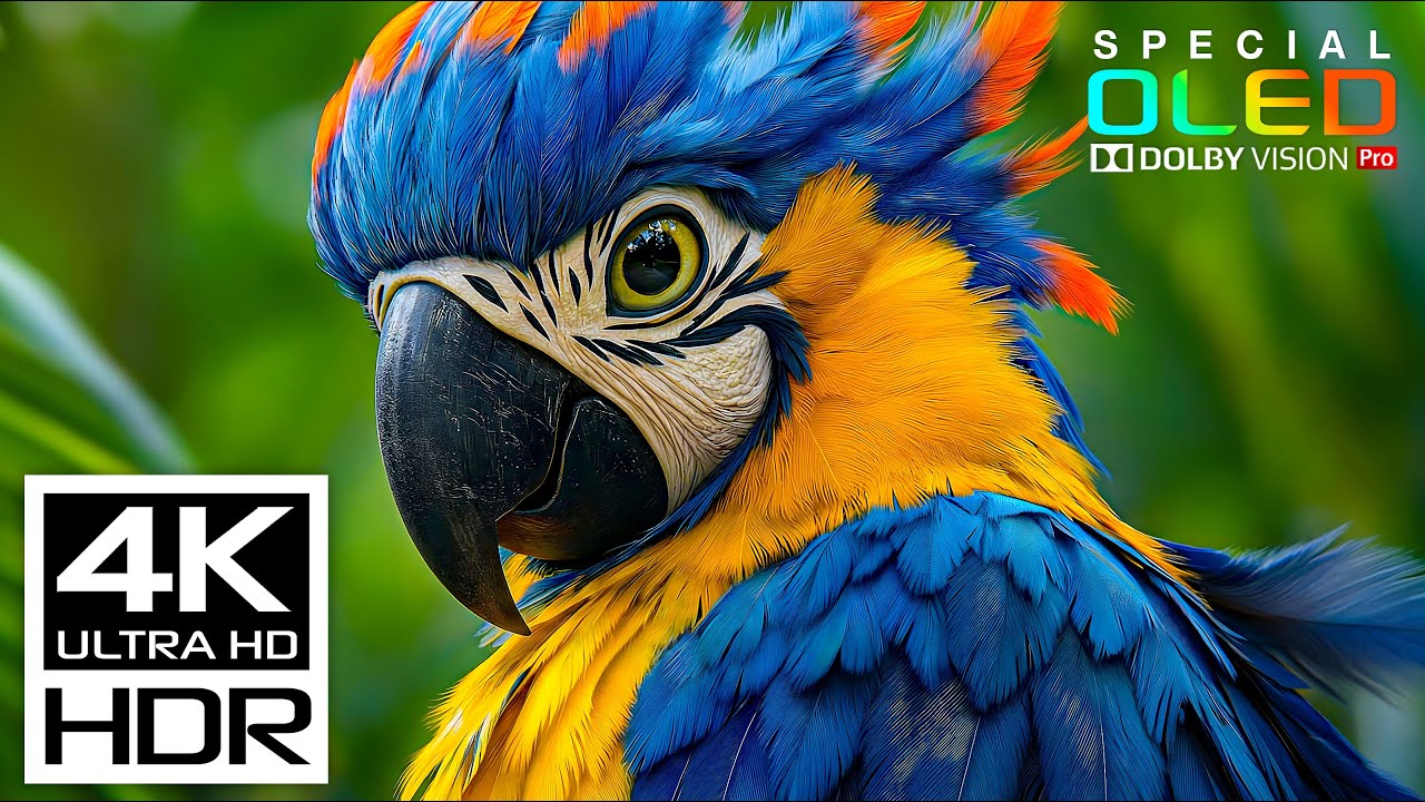 Ultimate Relaxing Sleep Music in 4K HDR 120fps | Peaceful Nature 4K Video for Stress Relief
