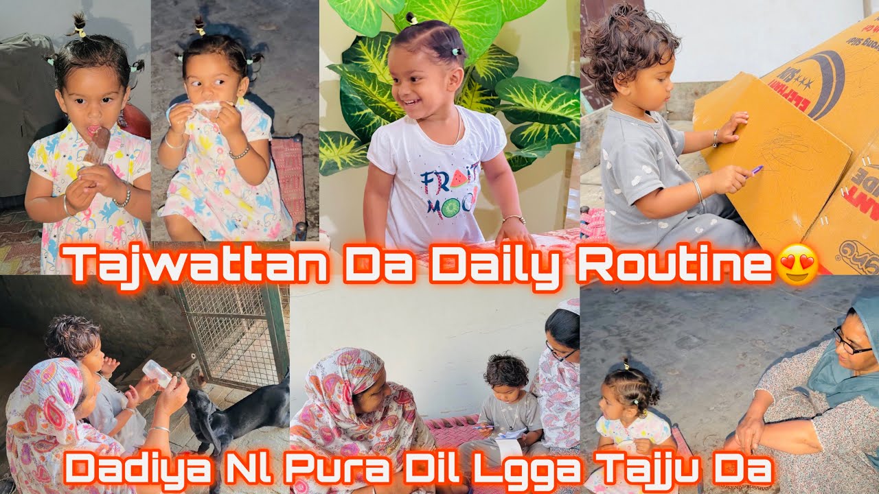||Tajwattan Da Daily Routine Dekho Ki Ki Krdi Aw||Dadiya Nl Pura Dil Lgga Tajju Da||Funny Vlog||