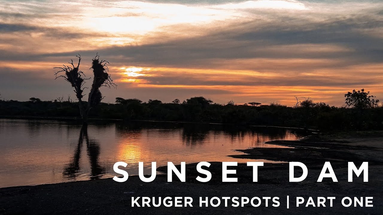 Kruger Hotspots | Sunset Dam | Lower Sabie | Part 1