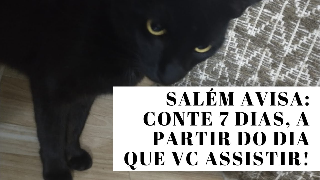 REVELAÇÃO! Tudo que Vai acontecer com Você nos Próximos 7 dias.