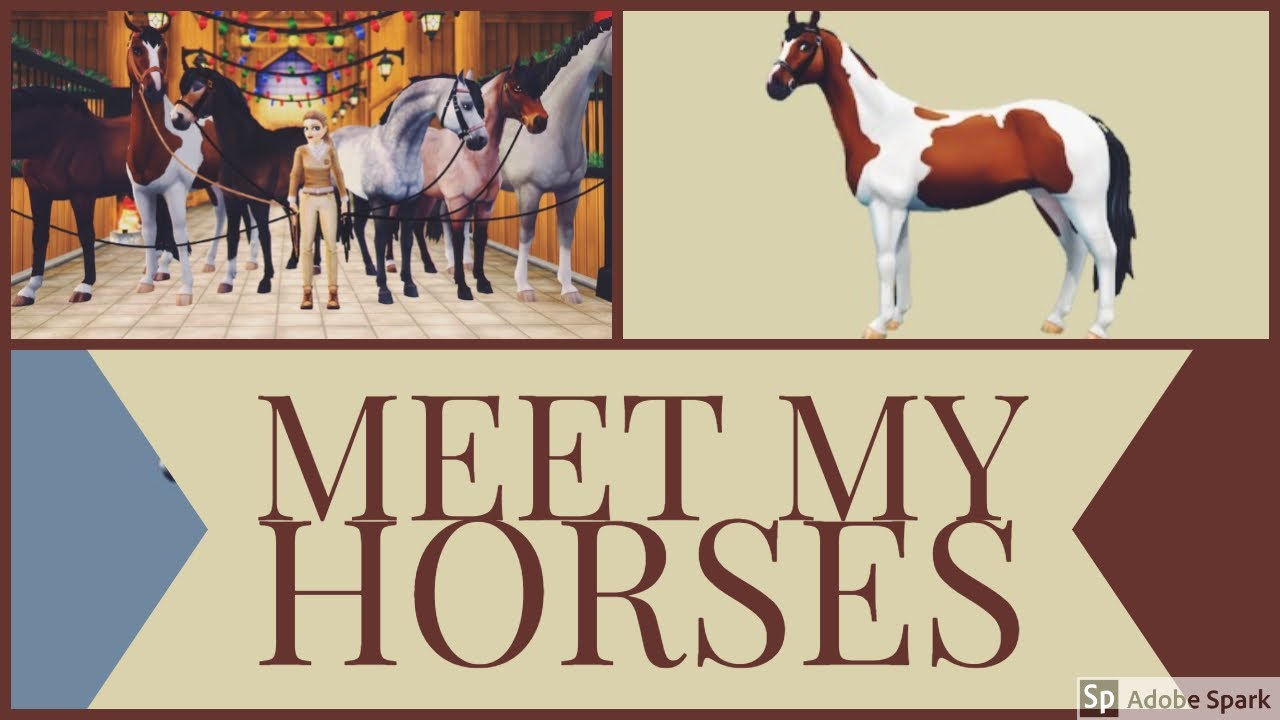 Meet My Horses: Eventing, Hunter, Dressage, etc. + Q&A Opportunity || Star Stable Realistic Roleplay