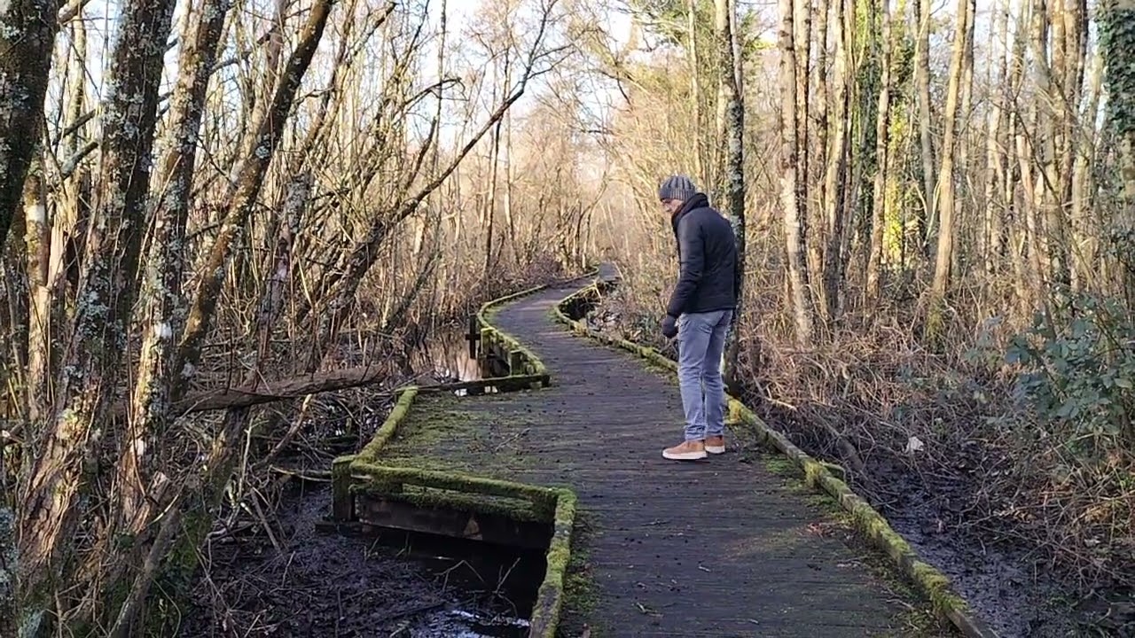 Le domaine de Rohart 