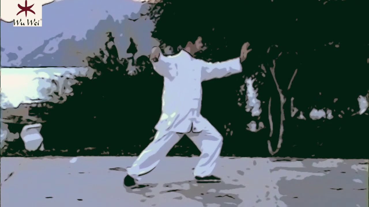 24 Bilder Tai Chi Chuan mit Jan Leminsky komplette Form