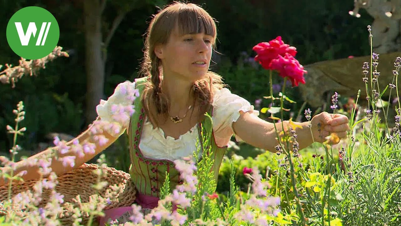 Steiermark - Sonne und fruchtbare Böden im grünen Herz Österreichs | Landträume (Folge 17/37)