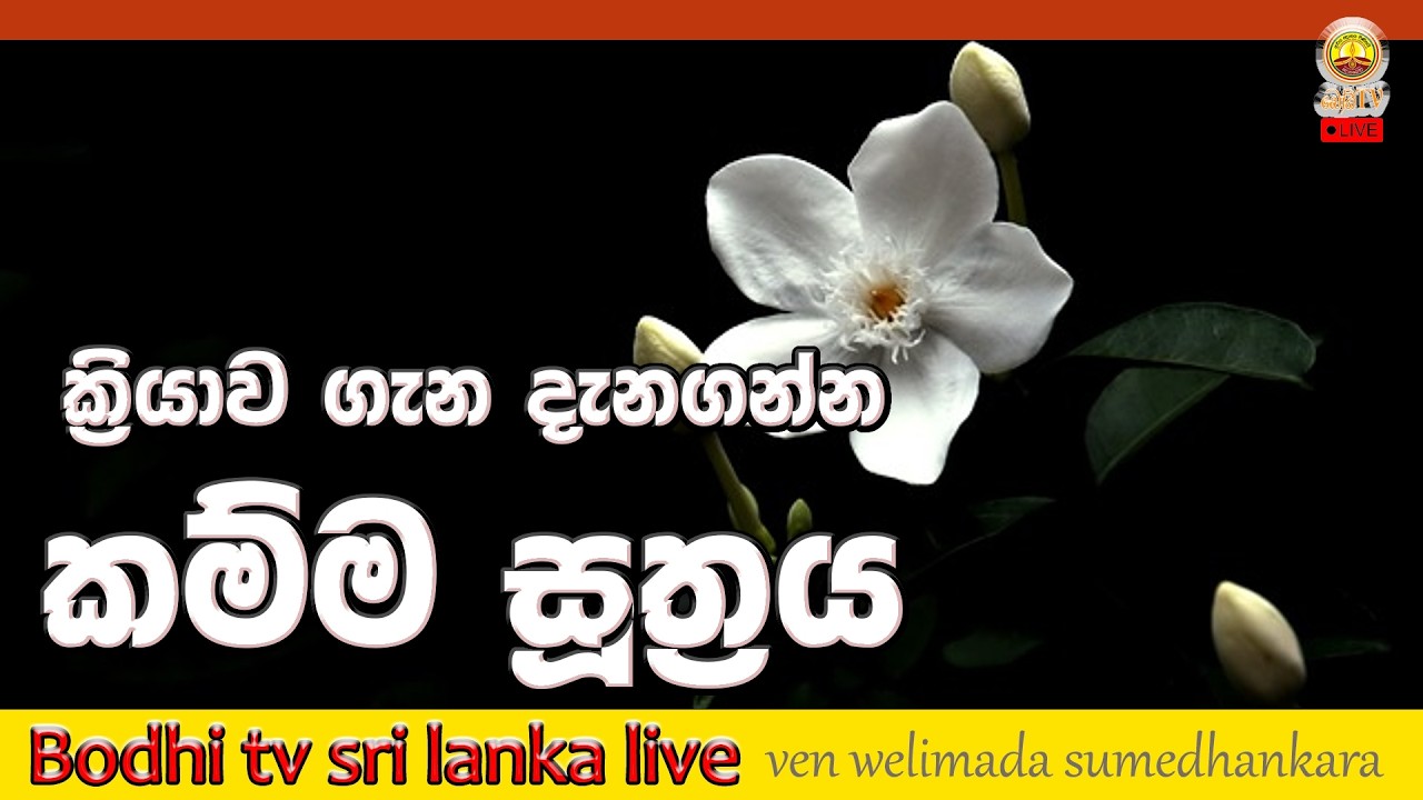 ක්‍රියාව ගැන දැනගන්න 