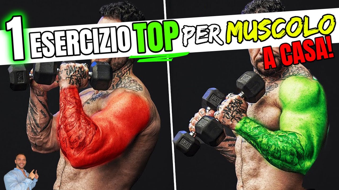 1 Esercizio MIGLIORE per OGNI GRUPPO MUSCOLARE con SOLO MANUBRI o BILANCIERE nel 2024