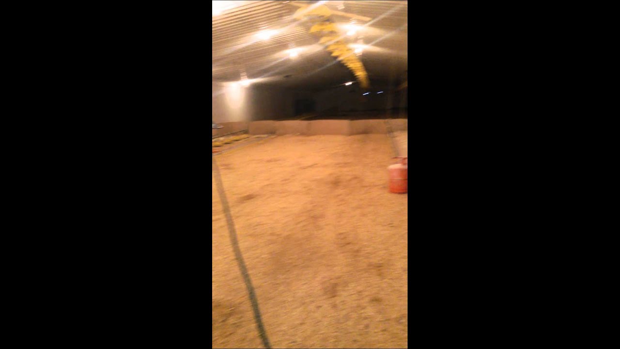 Fakieh poultry farms in saudia