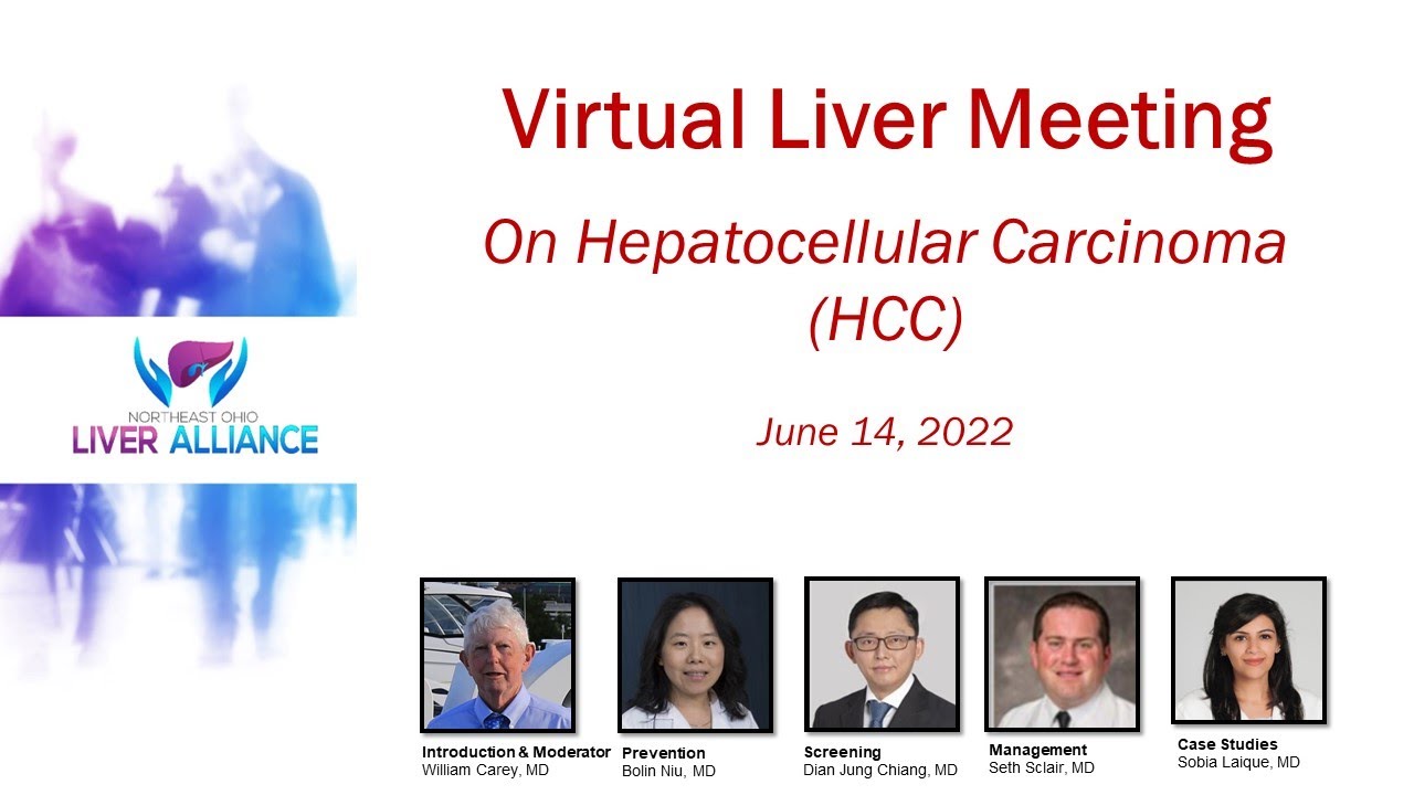 Virtual Liver Meeting on Hepatocellular Carcinoma