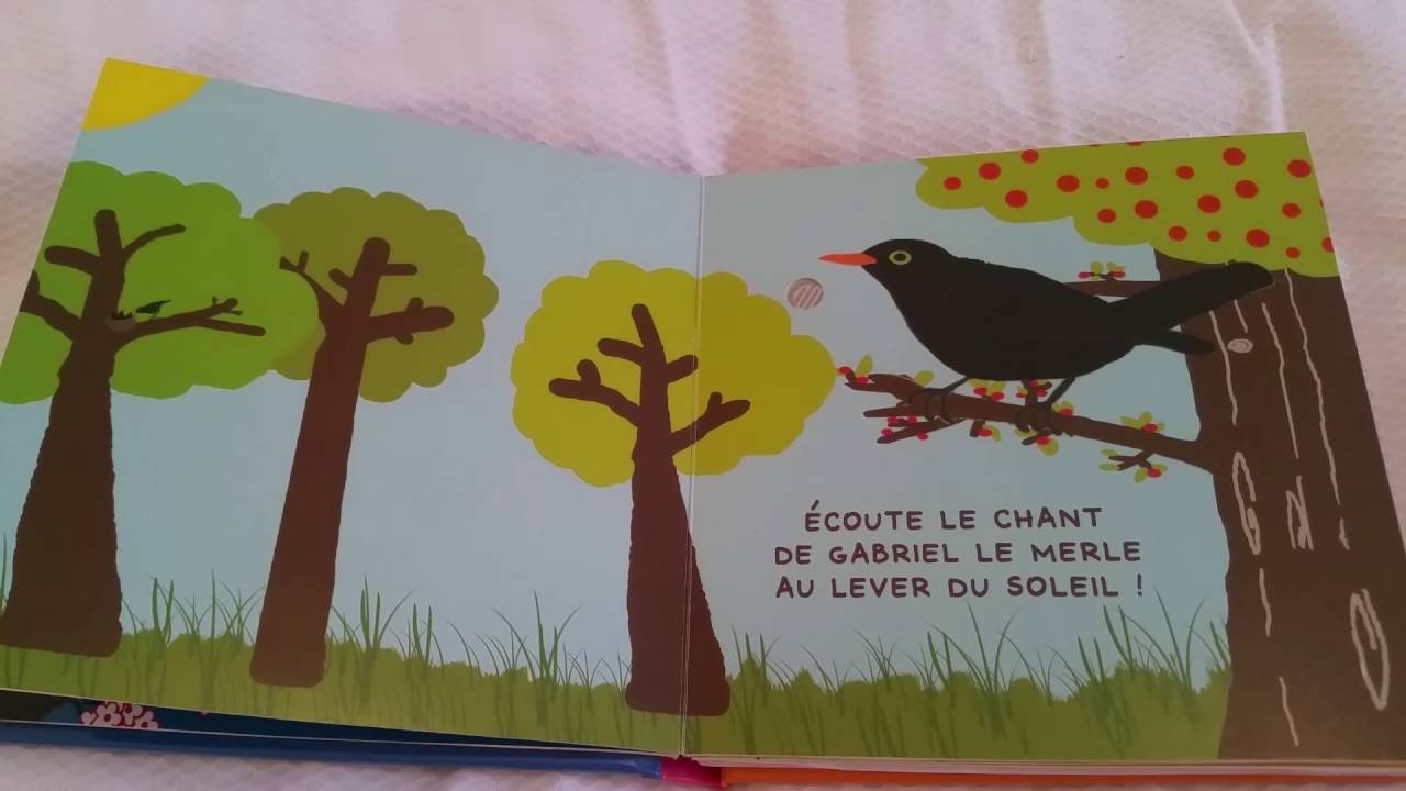 20 avis de lecture : Mes oiseaux &agrave; &eacute;couter