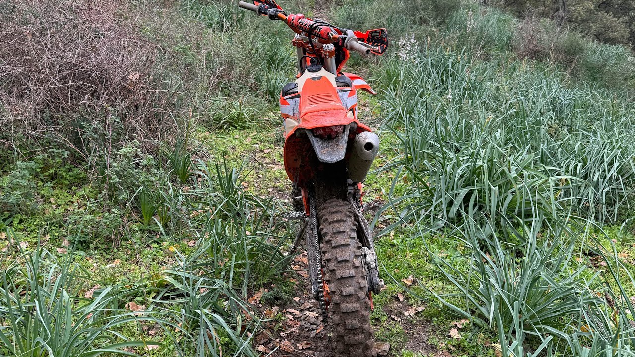 Adventure with my friend 