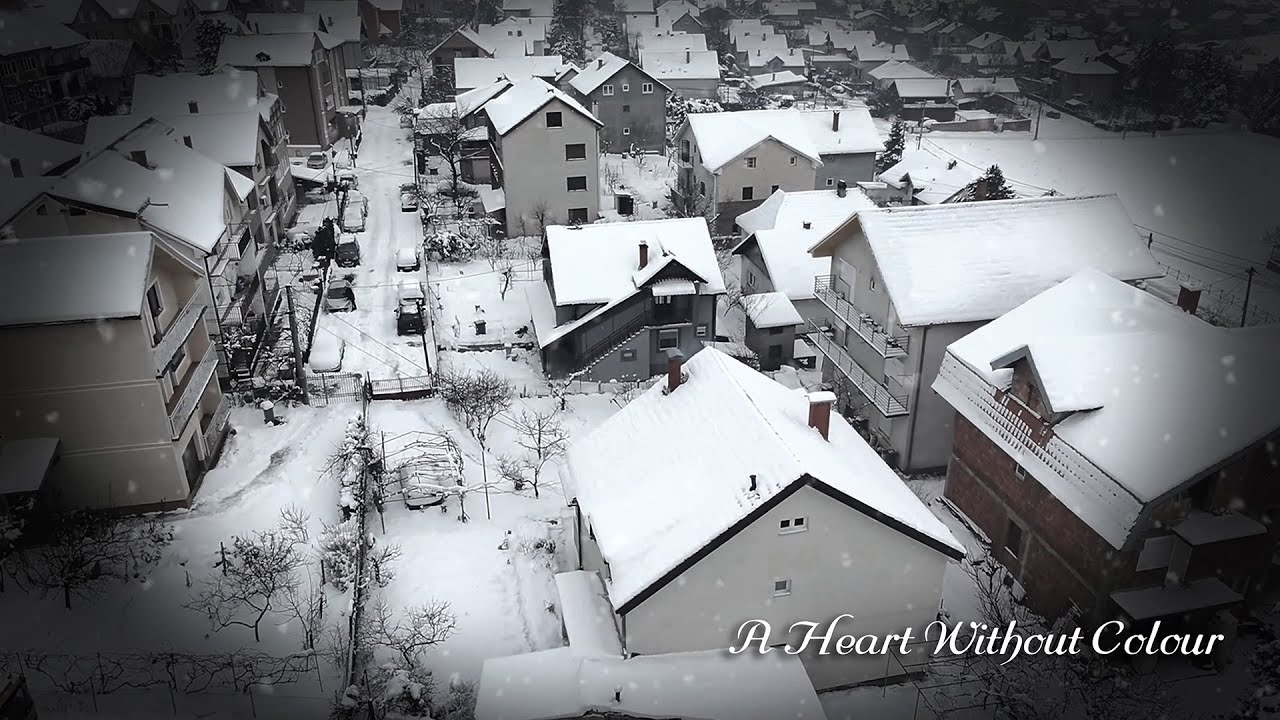 A Heart Without Colour