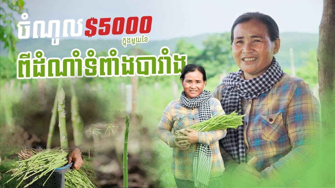 ចំណូល៥,០០០$ក្នុង១ខែពីដំណាំទំពាំងបារាំង